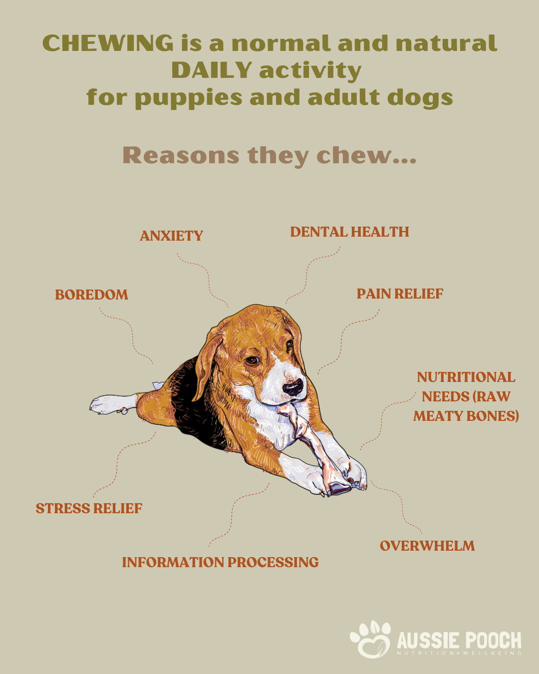 Chewing is a normal and natural daily activity for puppies and adult dogs