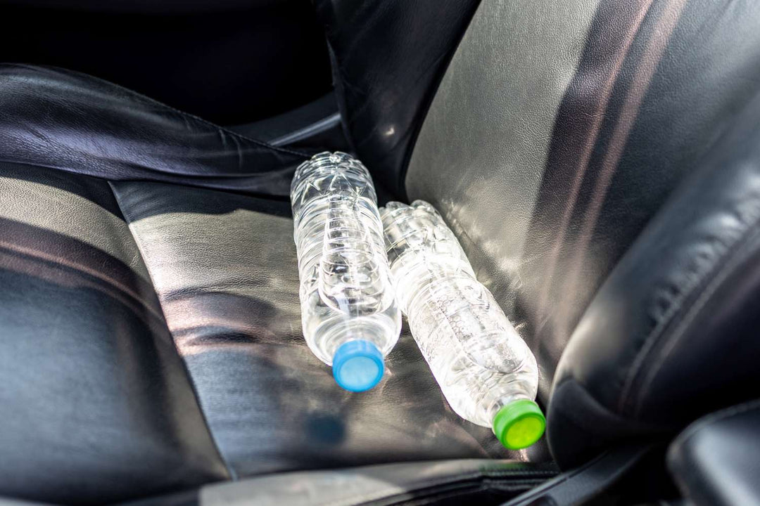 The Hidden Risk of Keeping Plastic Water Bottles in Hot Cars for Your Dog