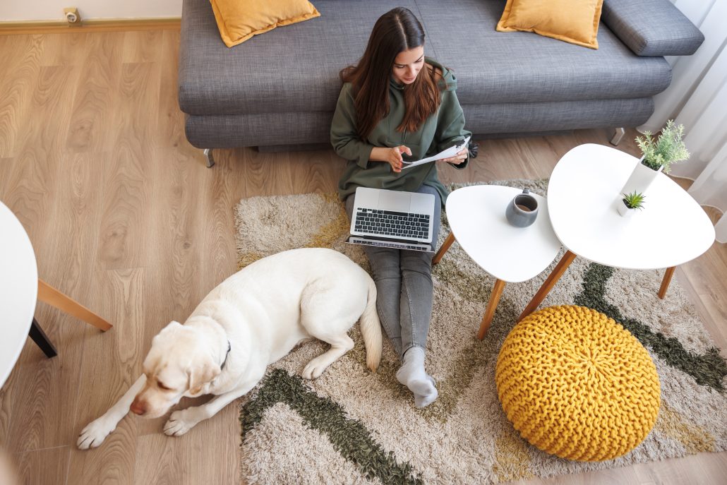 Creating a Low-Tox Home for Your Pets