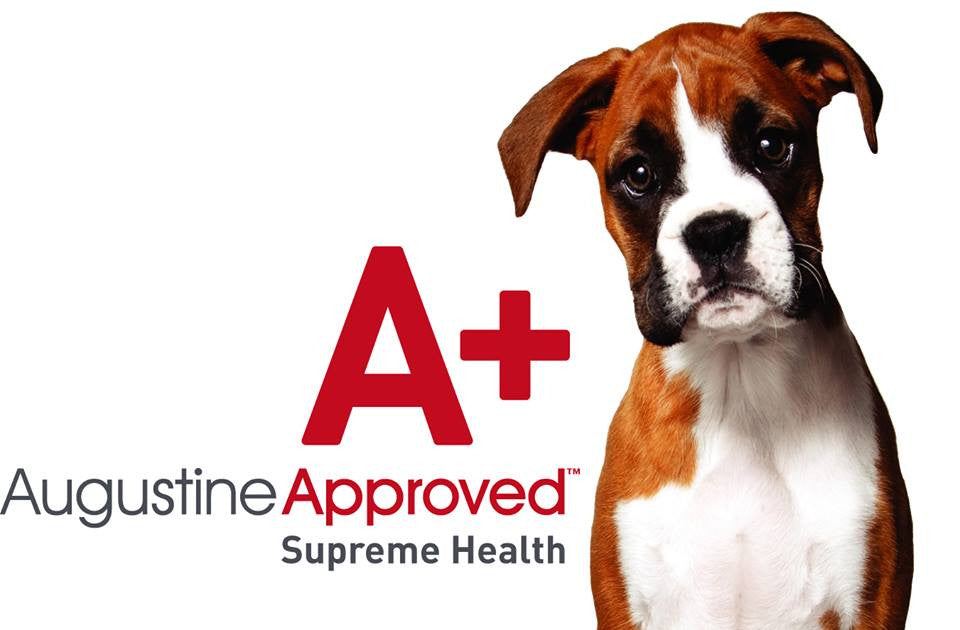 Augustine Approved