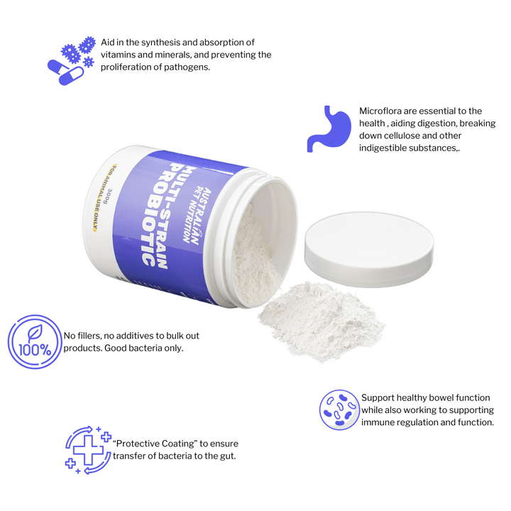 Multi-Strain Probiotic