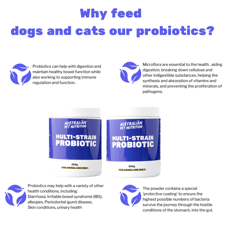 Multi-Strain Probiotic