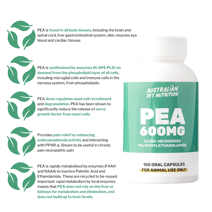 PEA (100 caps)