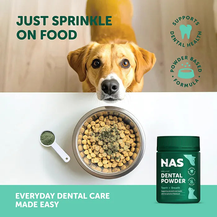 NAS Dental Powder