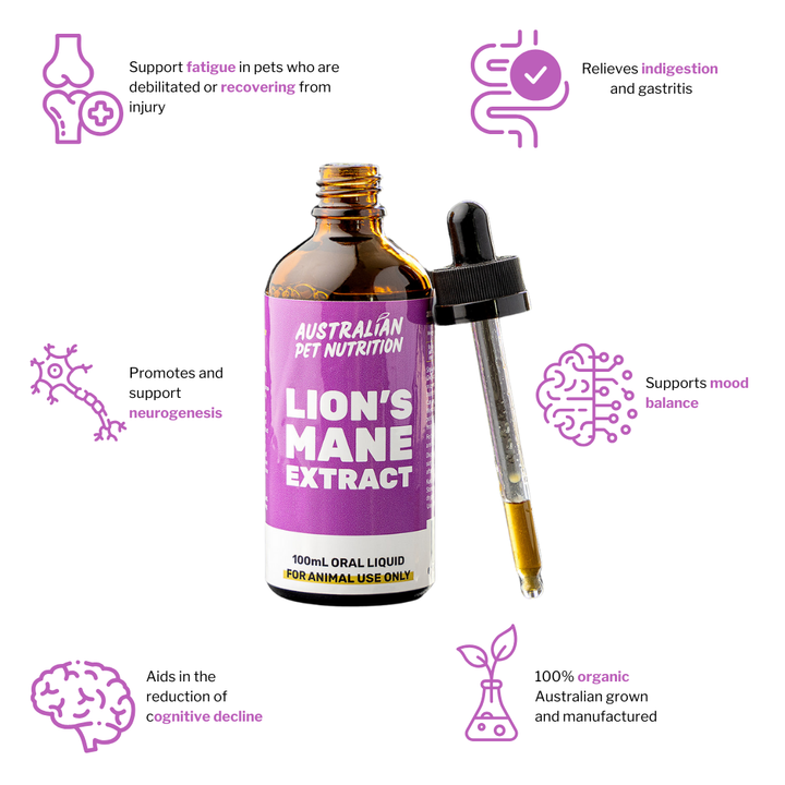 Lion's Mane Extract 100ml