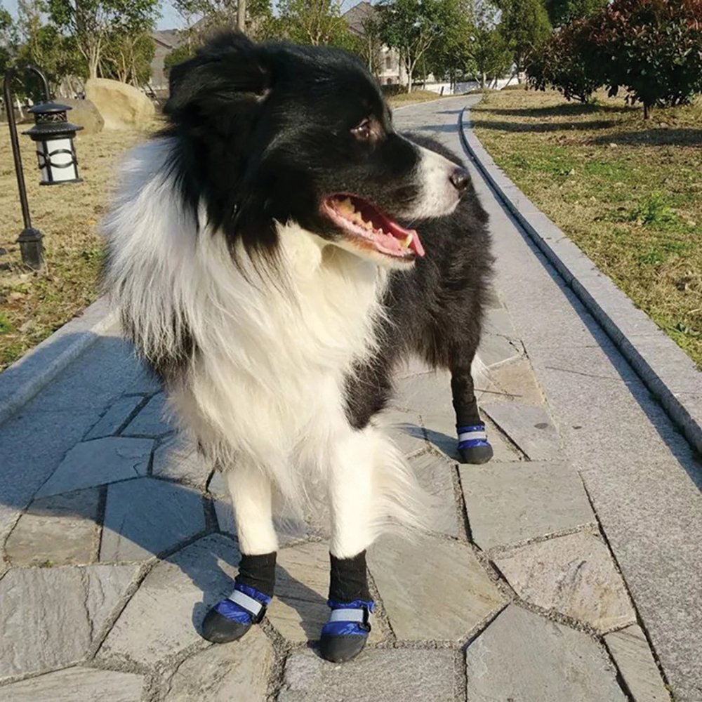 Zeez Blue Waterproof Non-Slip Pet Boots 4pk*