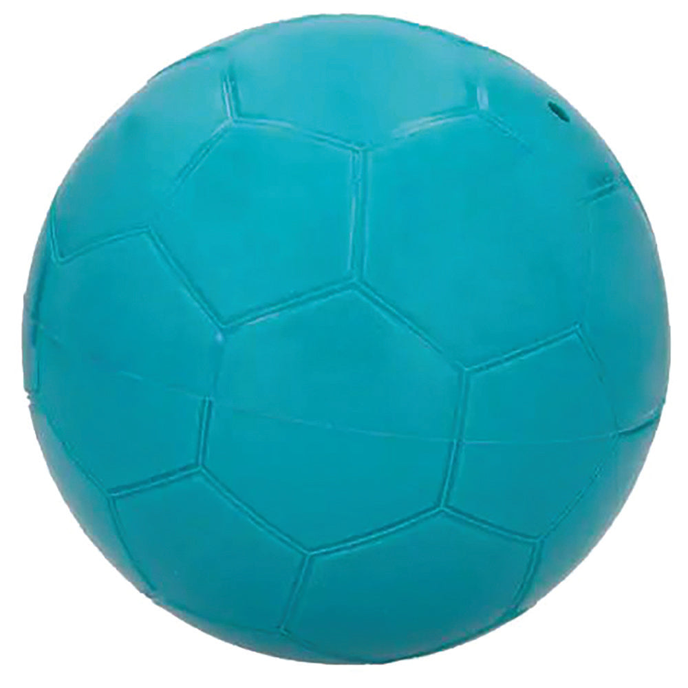 Sports Food Ball