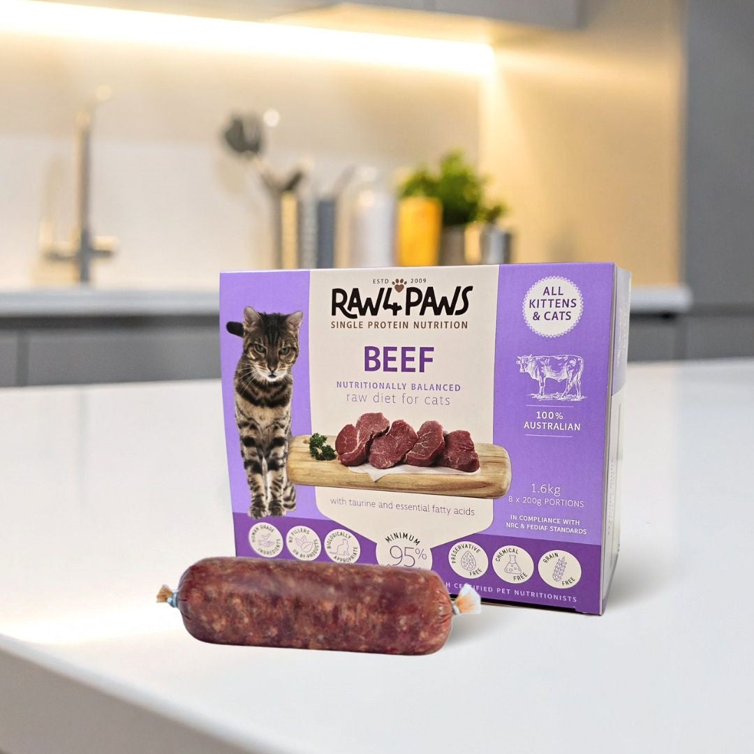 Raw 4 Paws Cat Rolls 1.6kg