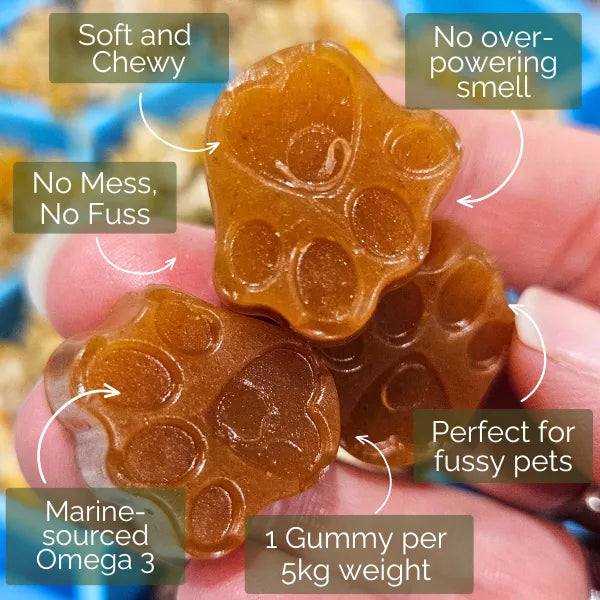 Pet Botanica Omega Gummies for Dogs & Cats 30pc