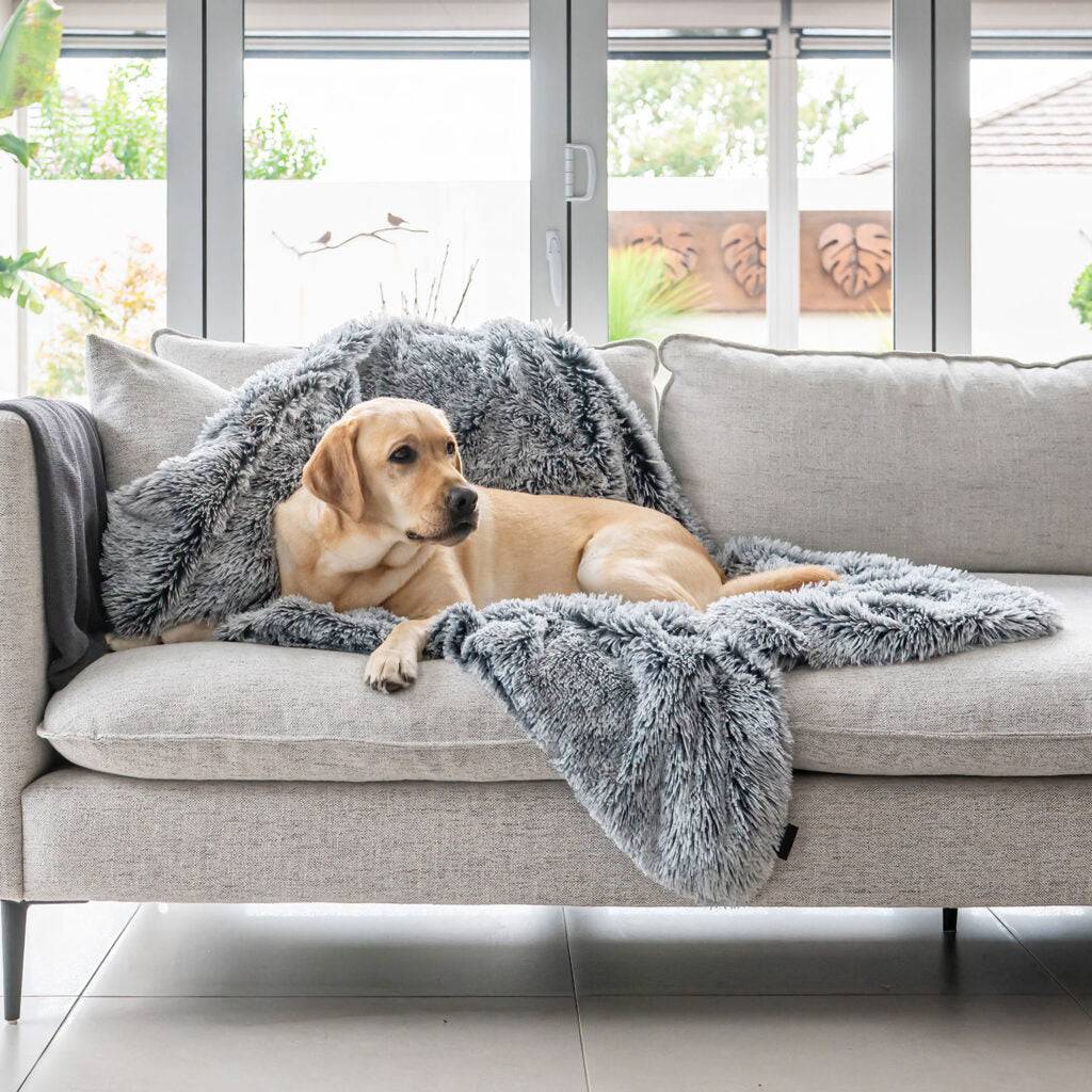 Calming Pet Blanket Water Resistant