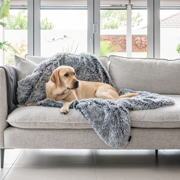 Calming Pet Blanket Water Resistant