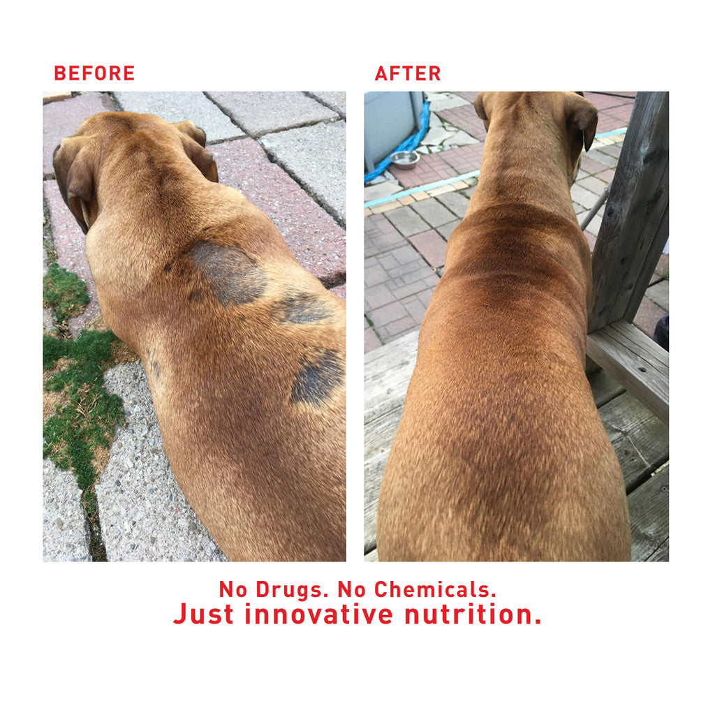 Faith's Cleanse & Detox