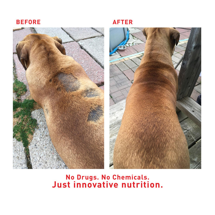 Faith's Cleanse & Detox