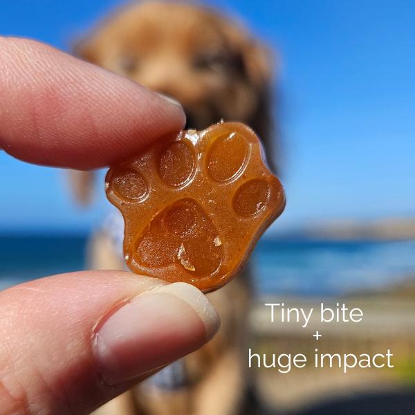 Pet Botanica Omega Gummies for Dogs & Cats 30pc