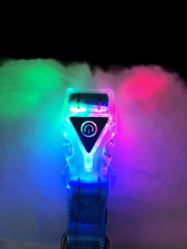 Nylon Reflective Stitching Padded Dog Collar w/ LED Light Buckle