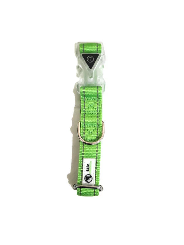 Nylon Reflective Stitching Padded Dog Collar w/ LED Light Buckle