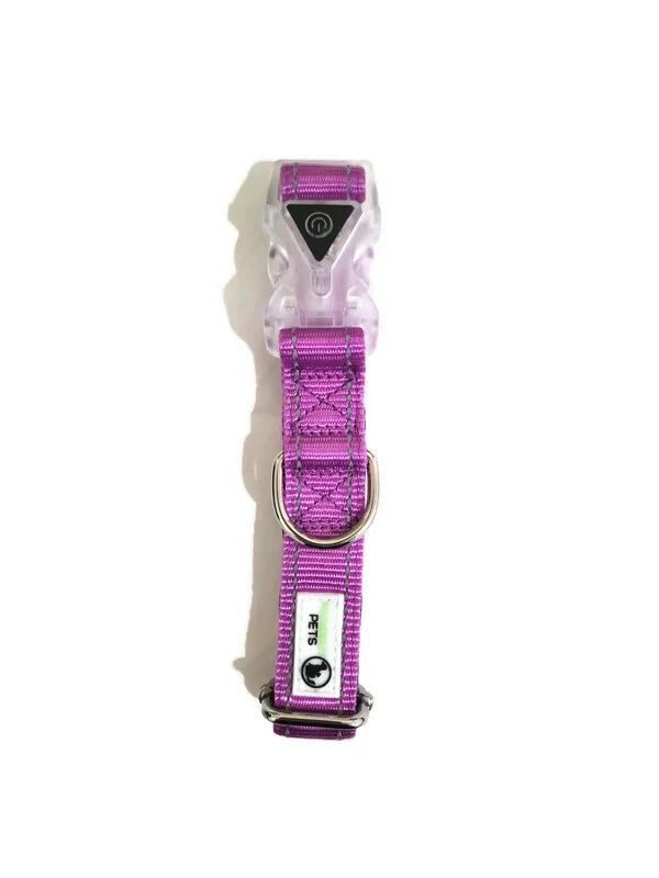 Nylon Reflective Stitching Padded Dog Collar w/ LED Light Buckle