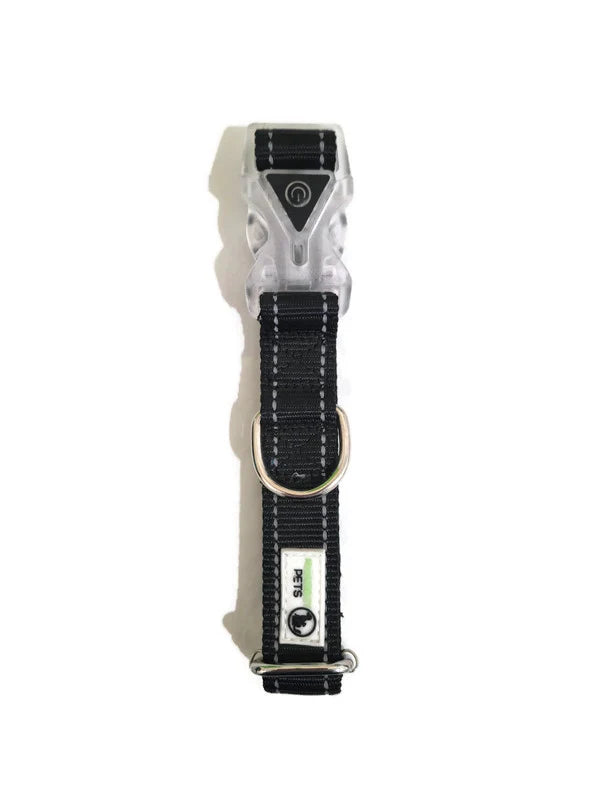 Nylon Reflective Stitching Padded Dog Collar w/ LED Light Buckle