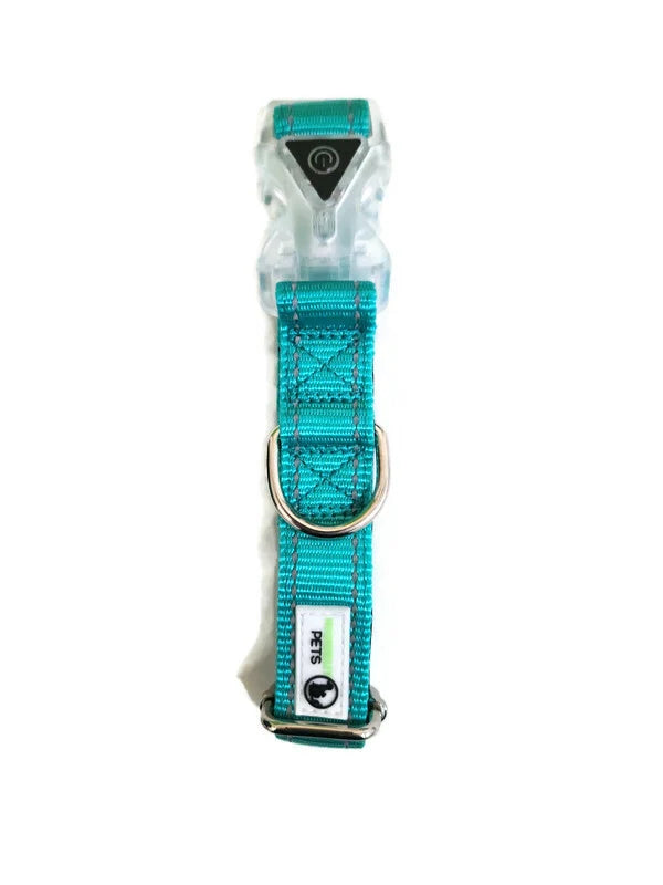 Nylon Reflective Stitching Padded Dog Collar w/ LED Light Buckle