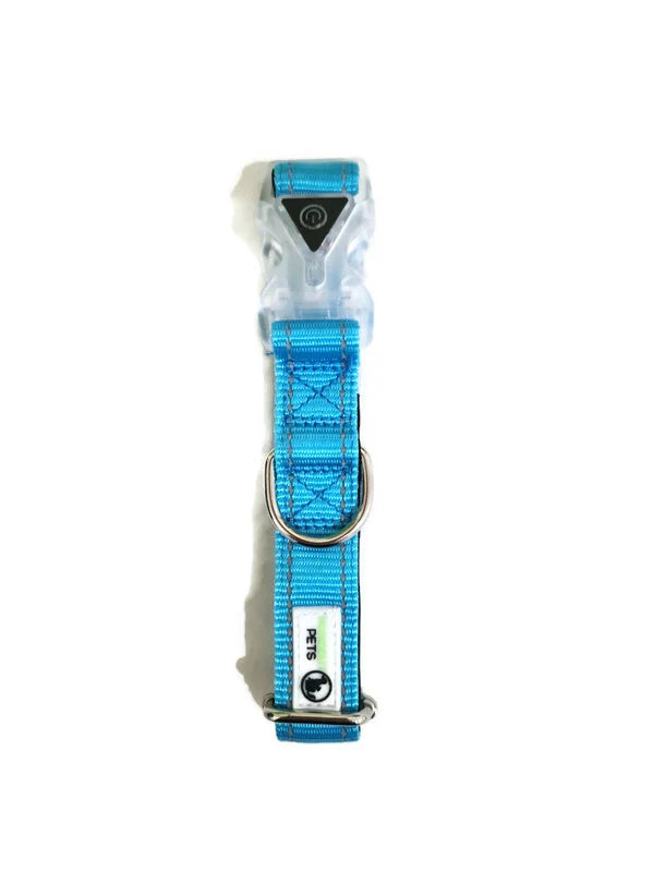 Nylon Reflective Stitching Padded Dog Collar w/ LED Light Buckle