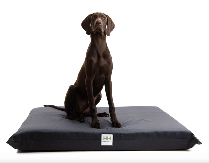 Henry Hottie Bed (Cover Only) XL-HD Charcoal