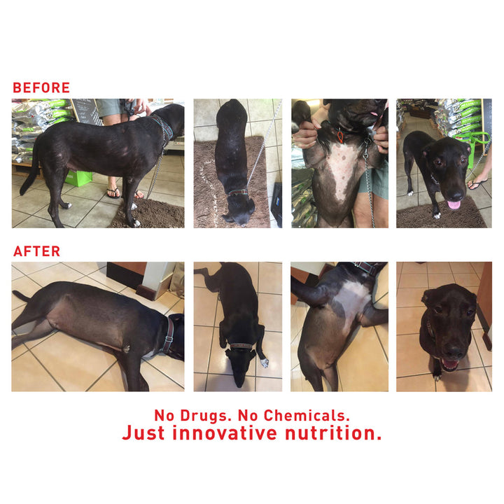 Faith's Cleanse & Detox