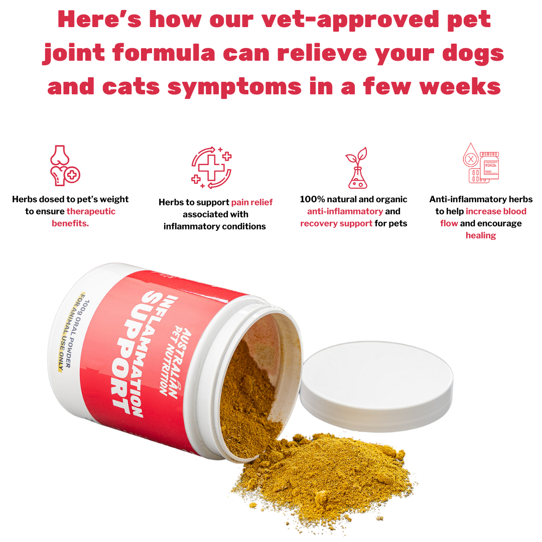 Inflammation Support 100g