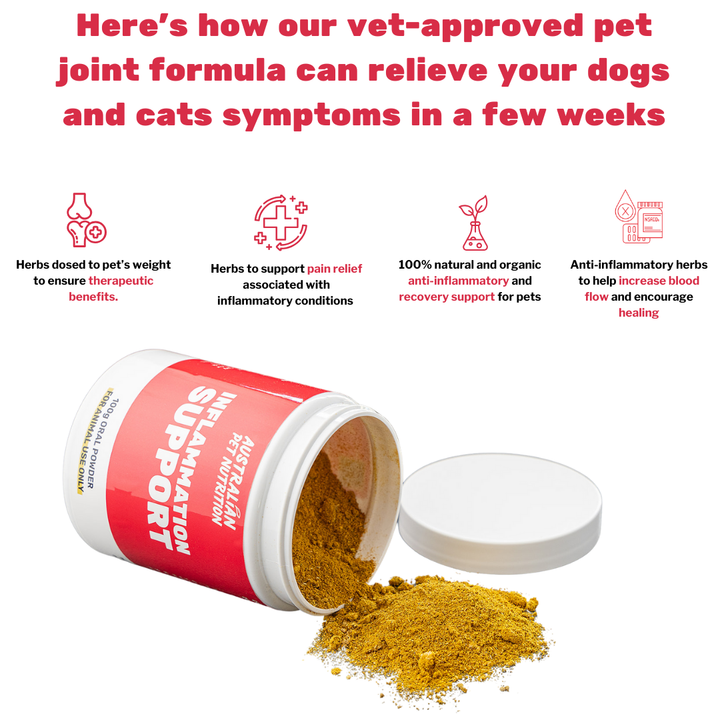 Inflammation Support 100g