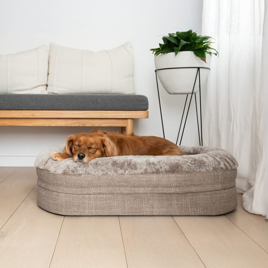 Orthopaedic Memory Rest Bed