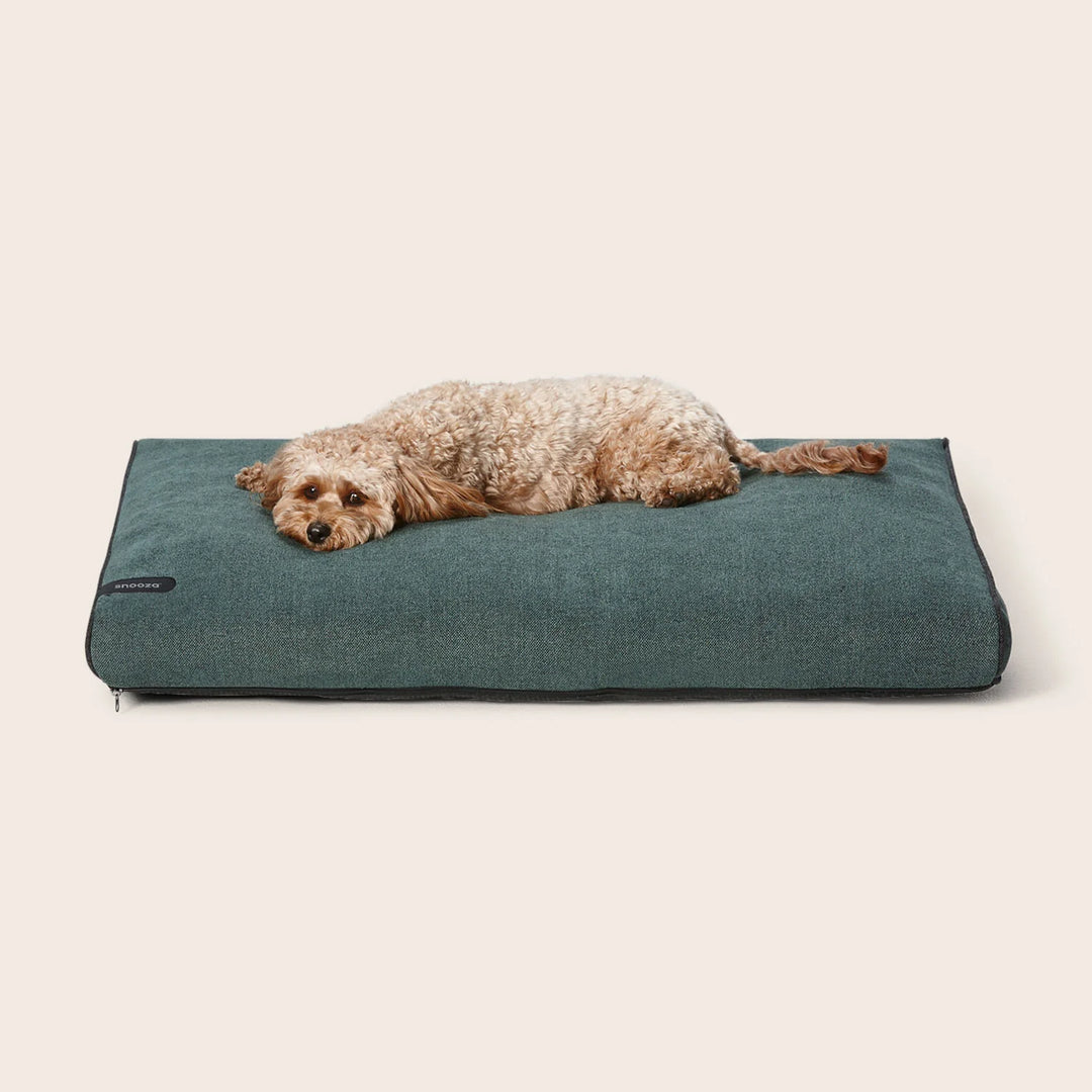 Snooza Modern Day Bed*