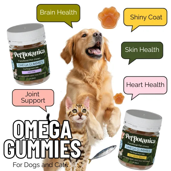 Pet Botanica Omega Gummies for Dogs & Cats 30pc
