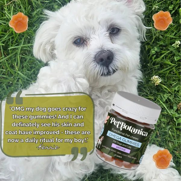Pet Botanica Omega Gummies for Dogs & Cats 30pc