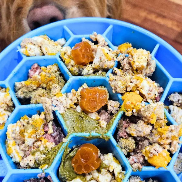 Pet Botanica Omega Gummies for Dogs & Cats 30pc
