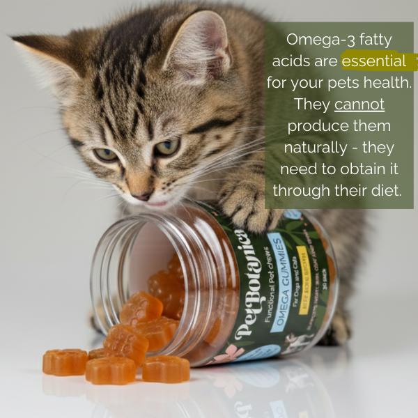 Pet Botanica Omega Gummies for Dogs & Cats 30pc