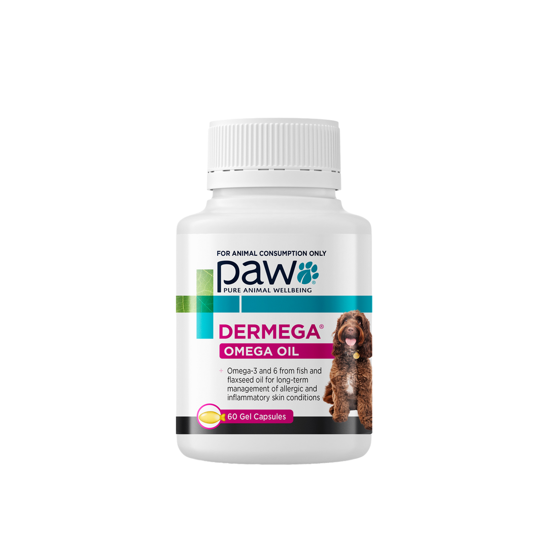 Paw Dermega Omega Oil Capsules