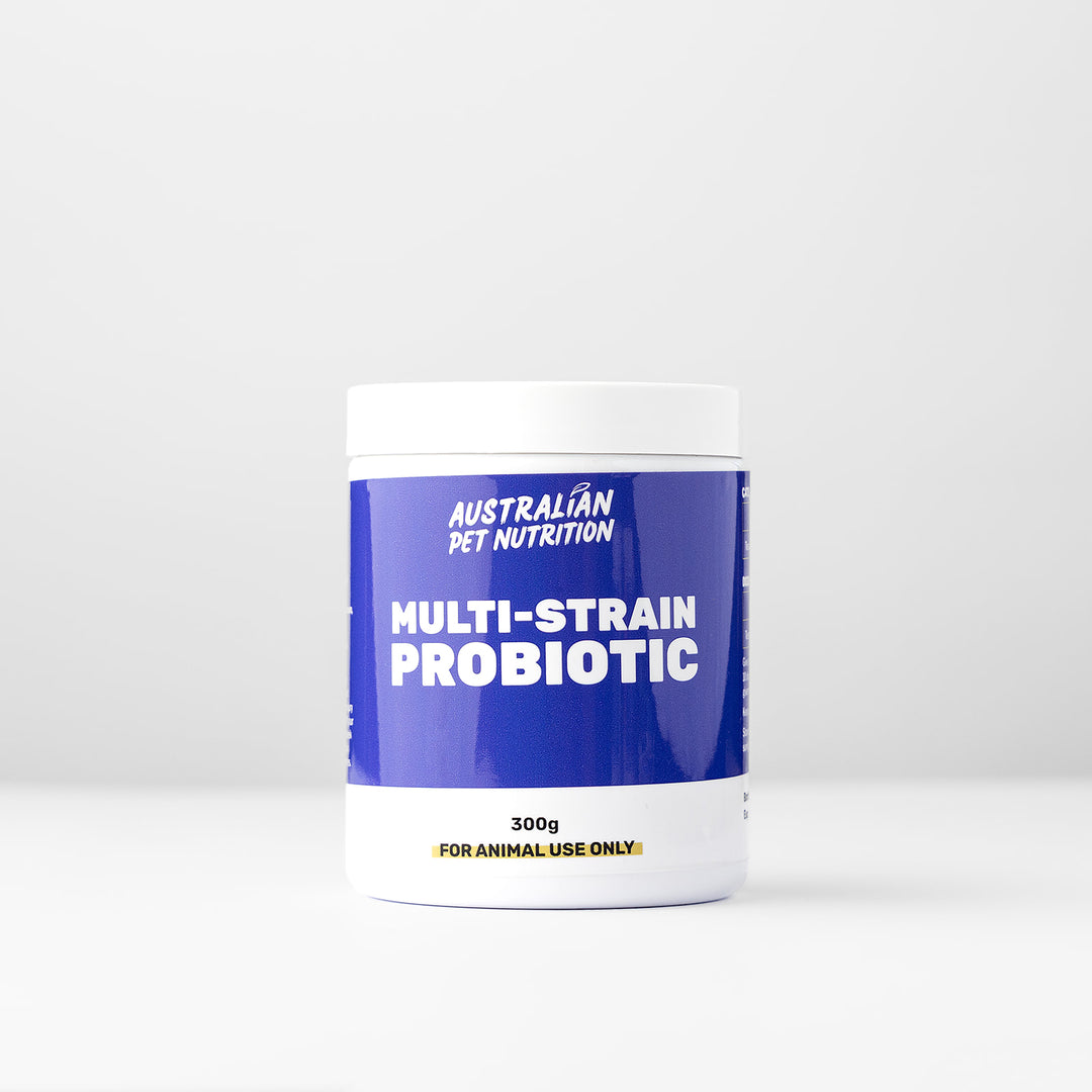 Multi-Strain Probiotic