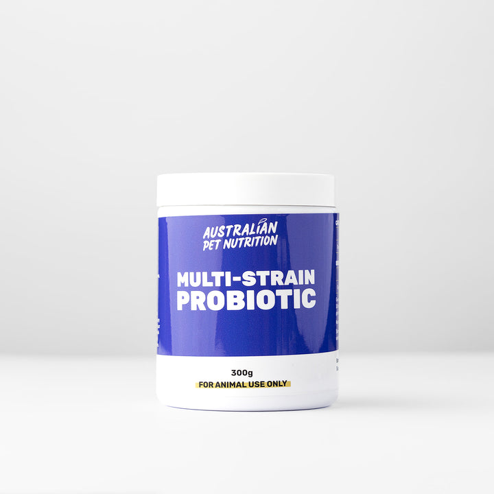 Multi-Strain Probiotic
