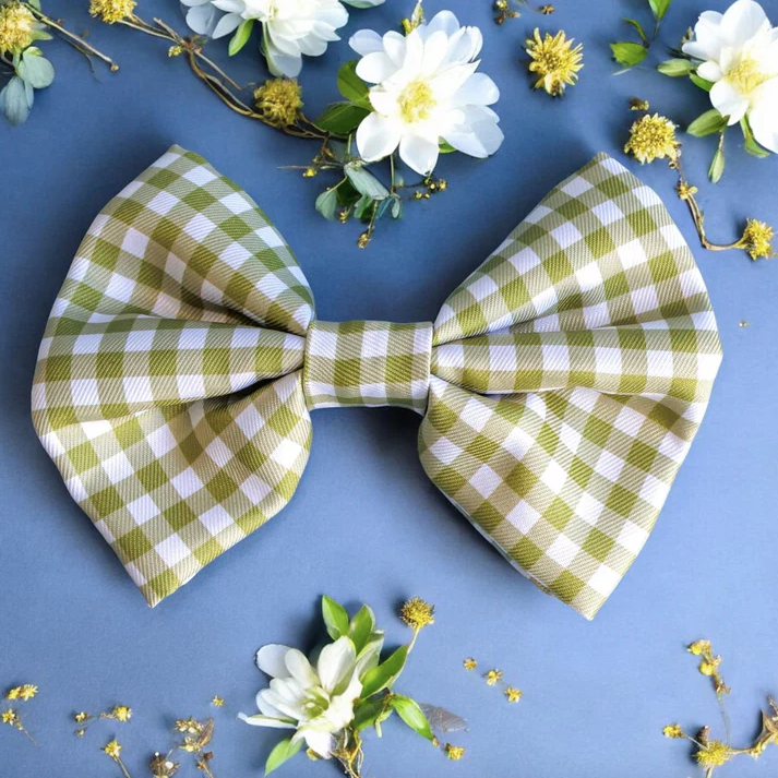 Dizzy Bow Tie
