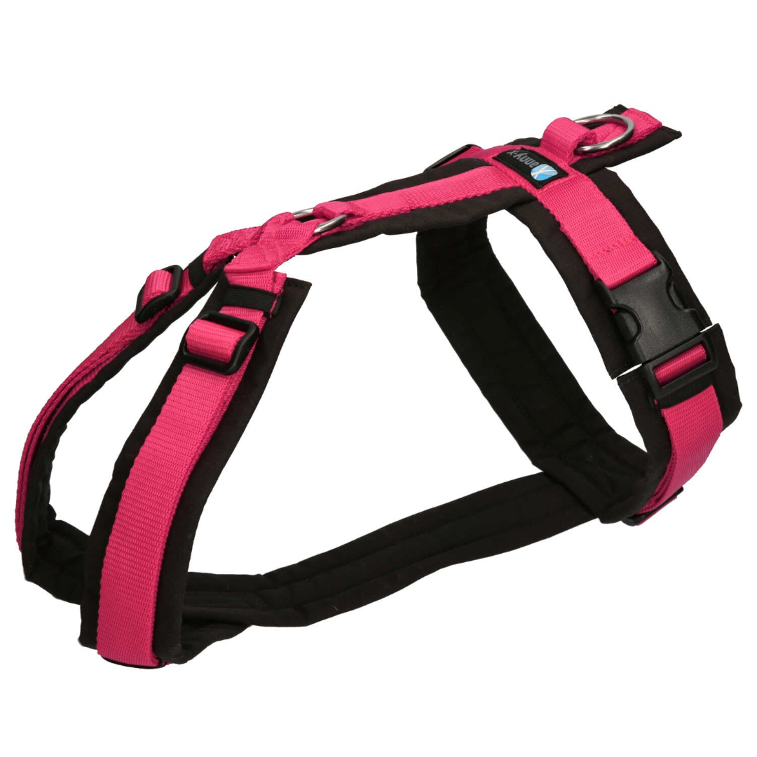 Anny.x Harness Fun