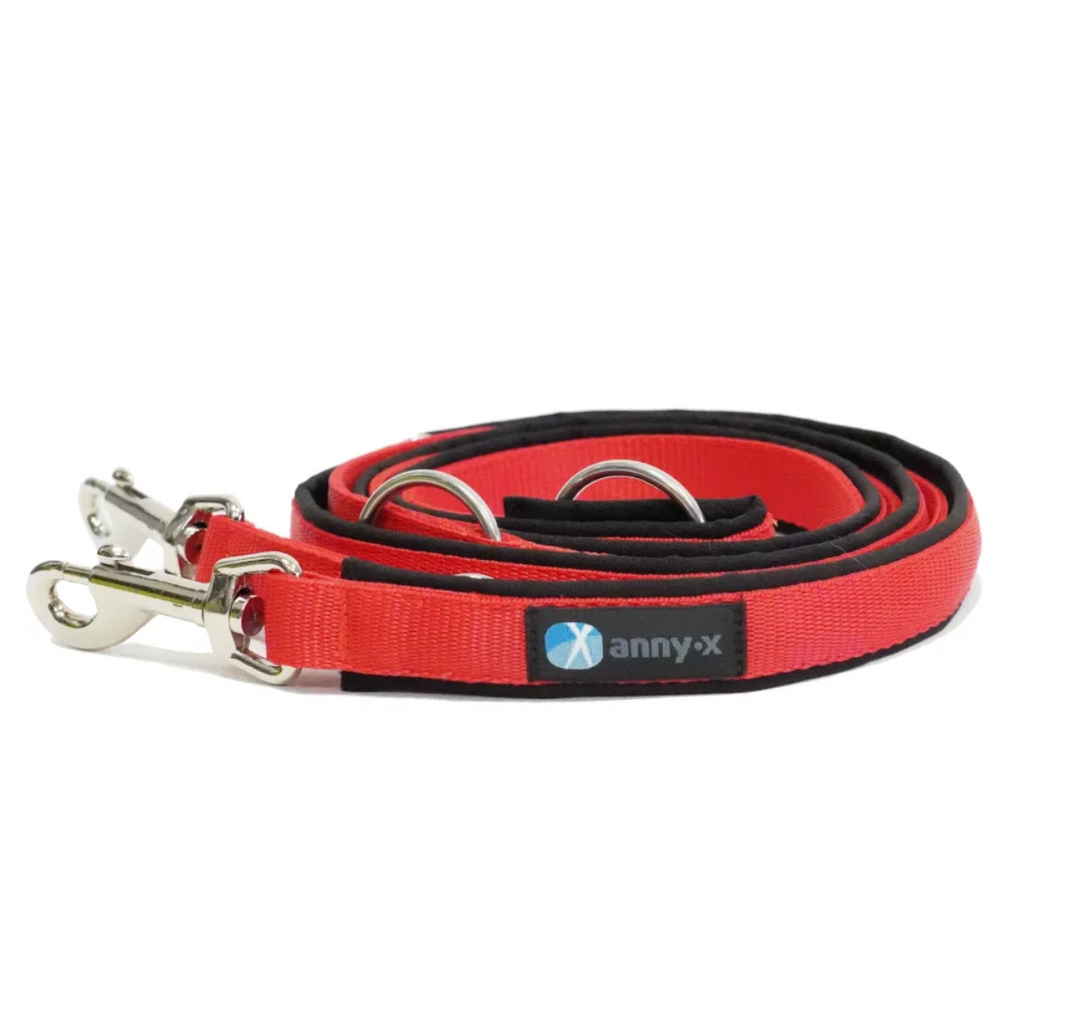 Anny.x Leash Classic Bolt Fun