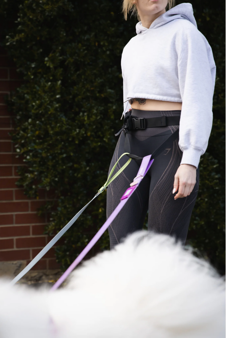 Attachd Hands-Free Walking Belt