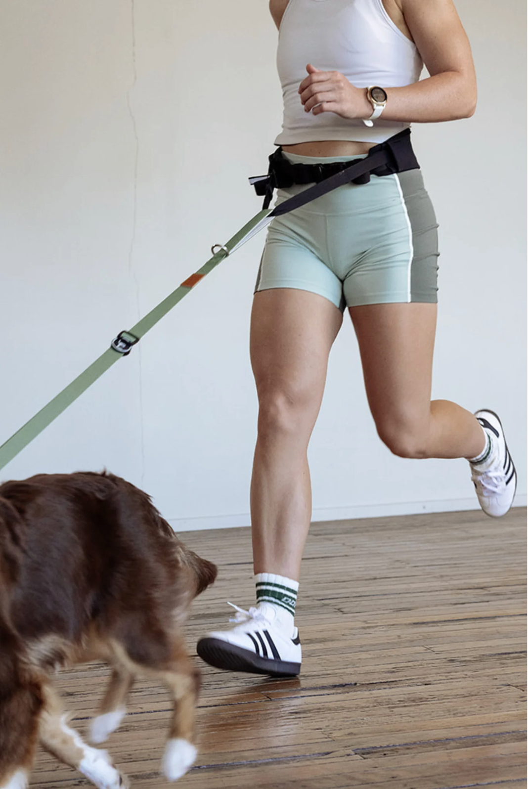 Attachd Hands-Free Walking Belt