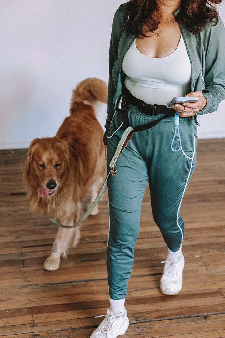 Attachd Hands-Free Walking Belt