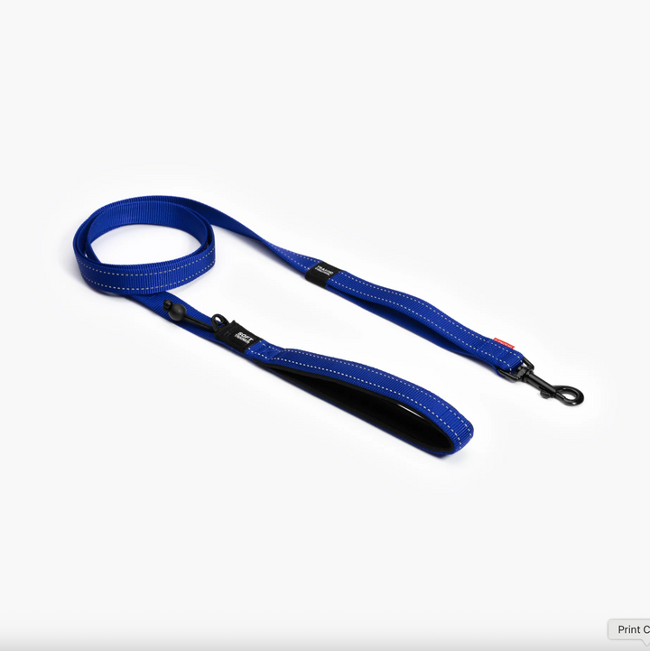 Soft Trainer Leash