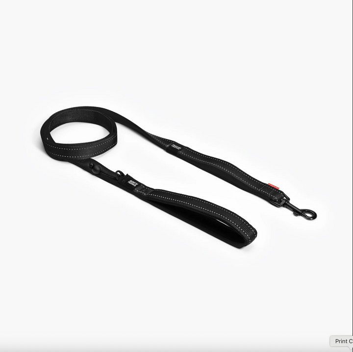 Soft Trainer Leash