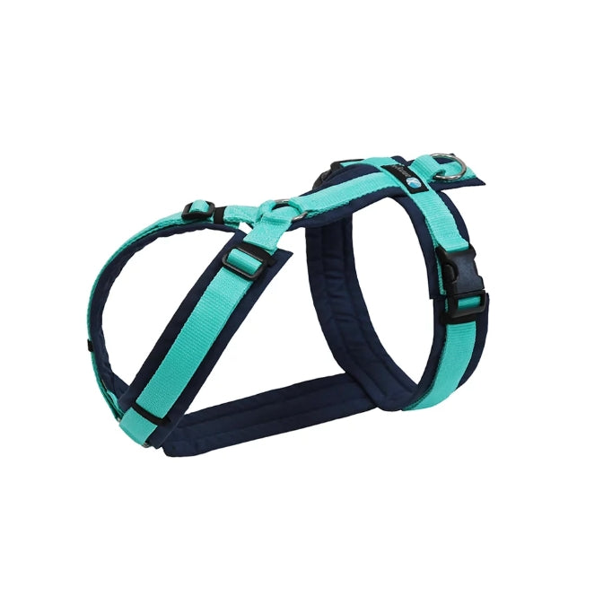 Anny.x Harness Fun