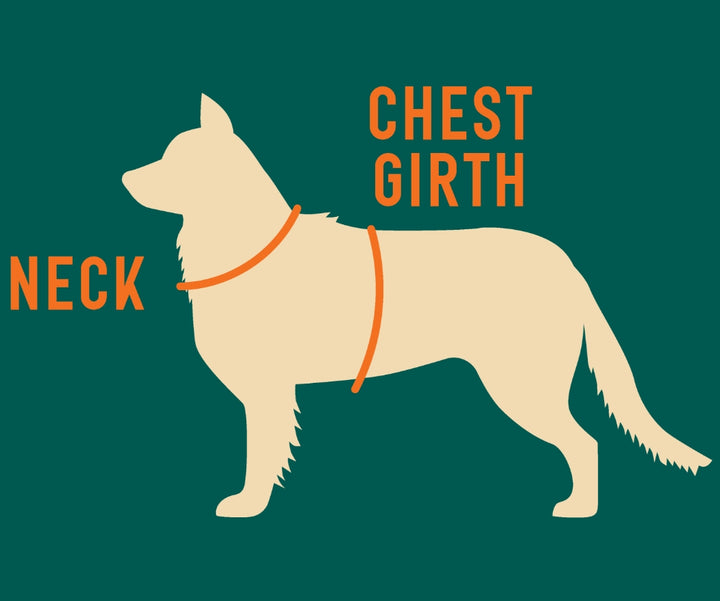 Twiggy Tags Adventure Harness