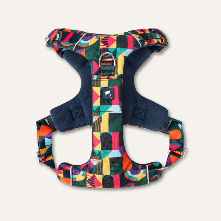 Twiggy Tags Adventure Harness