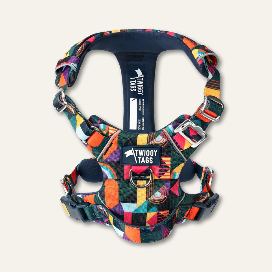 Twiggy Tags Adventure Harness
