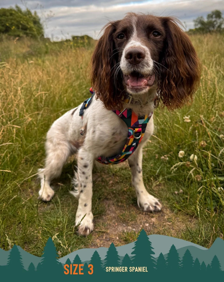 Twiggy Tags Adventure Harness